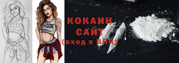 2c-b Краснослободск