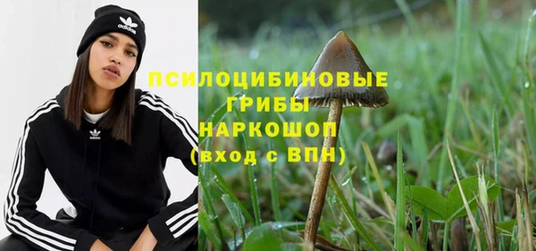 гашик Краснотурьинск