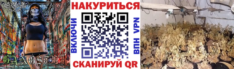 купить наркоту  Отрадное  Марихуана MAZAR 